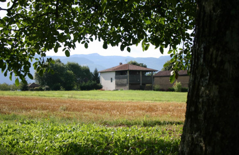 Schoir  noix dans le Sud Grsivaudan en Isre