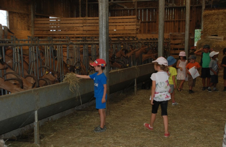 Les enfants en visite  la Chvrerie de la Ferme des Sorbiers