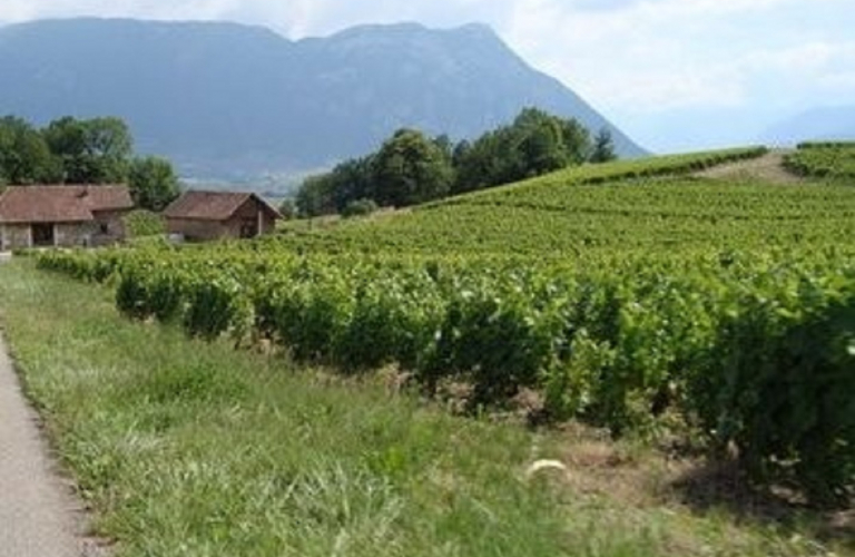 Itinéraire VTT Bellecombette à la rencontre des vignobles