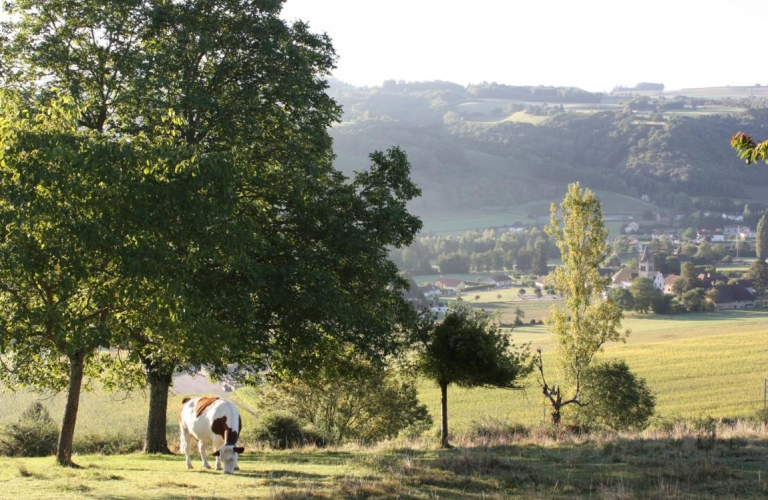 EARL La Ferme des Quatre Vents