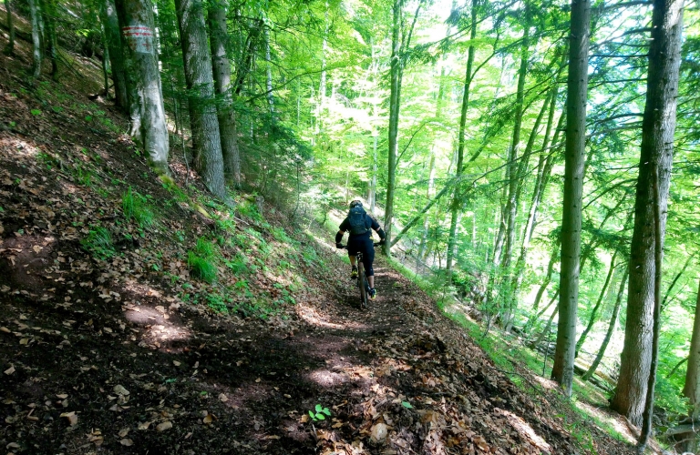 Le chemin de Malaine