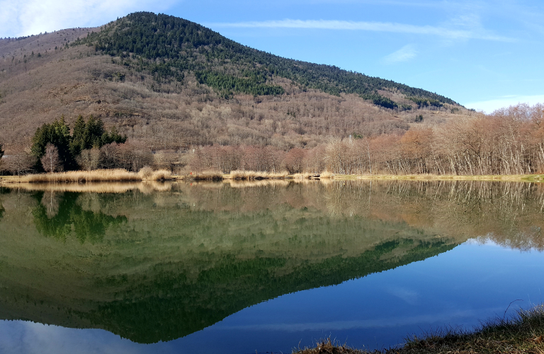 N°01 La Ronde des Crapauds  VTT - Vert