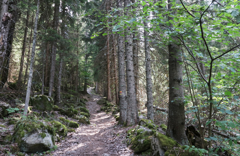 Sentier en fort autour d'Oz-en-Oisans