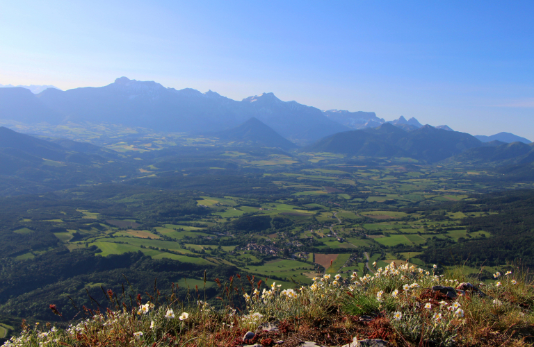 Le Goutaroux