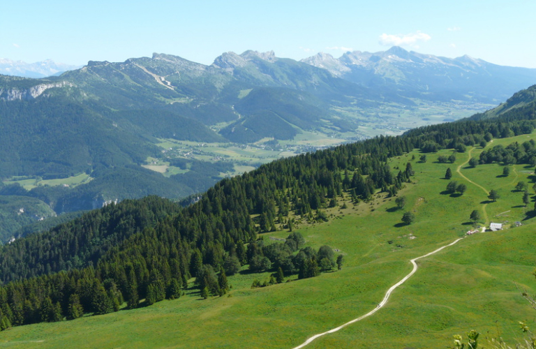 Le plateau de la Molière