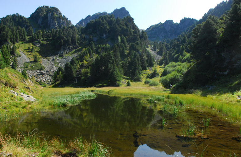 Photo lac des Pourettes