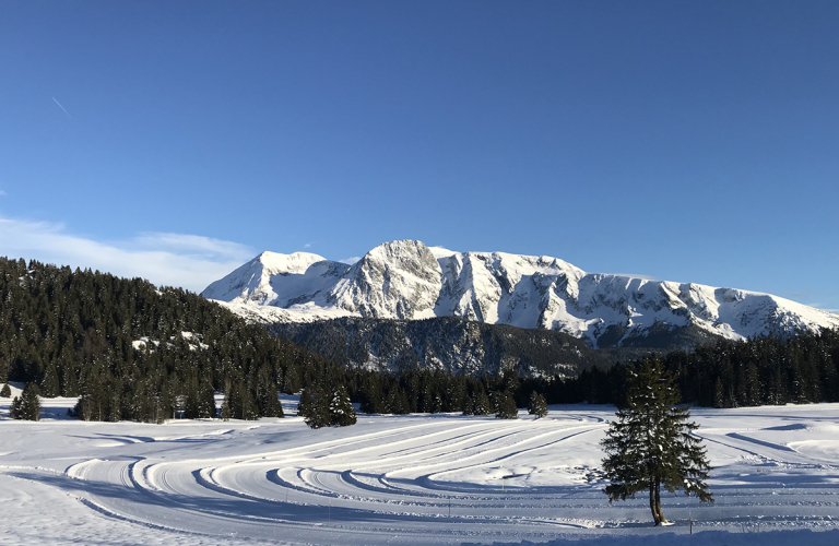 Photo du plateau de l'Arselle Chamrousse