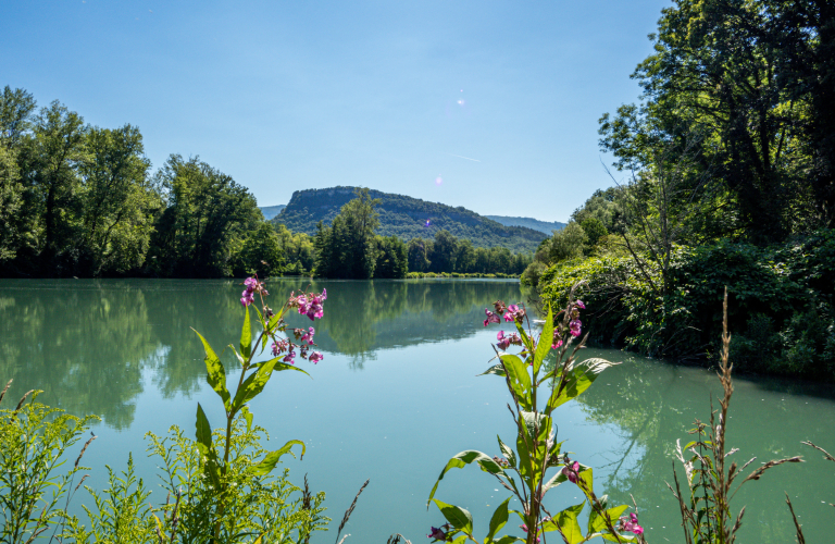 Vue sur le Rhne depuis le sentier Envirhna - Balcons du Dauphin