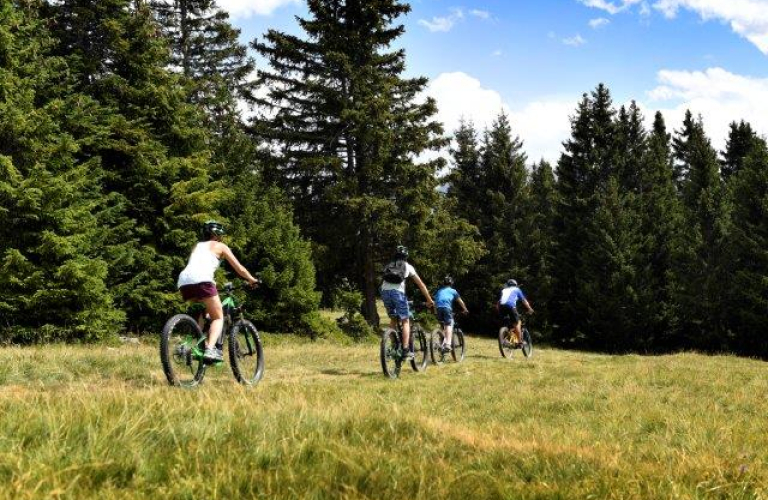 Photo VTT sentier Chamrousse