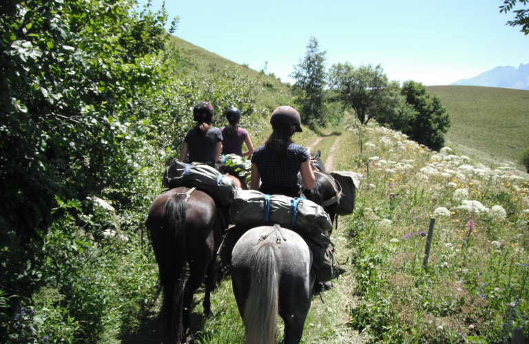 Dcouverte des alpages du sud-Isre  cheval