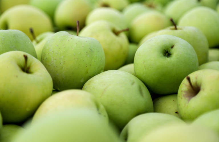 Les petits fruits de la forêt