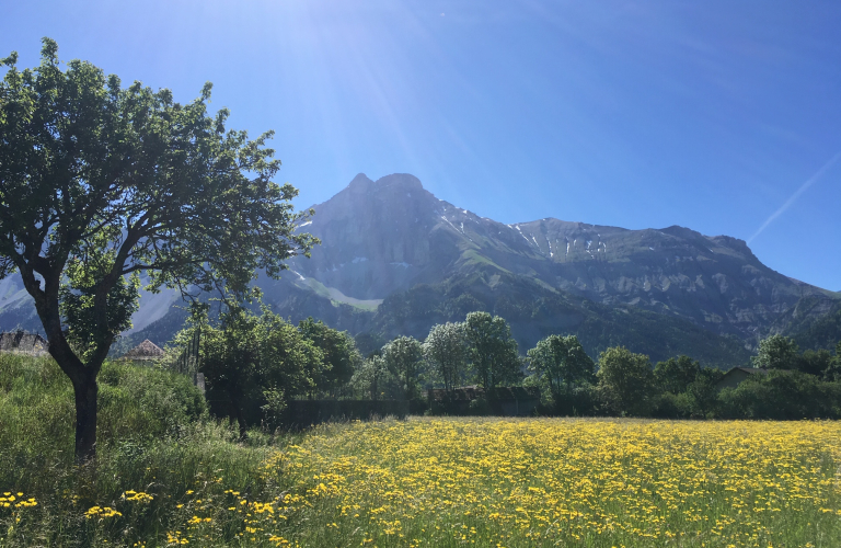 Parcours d&#039;orientation patrimoine adulte