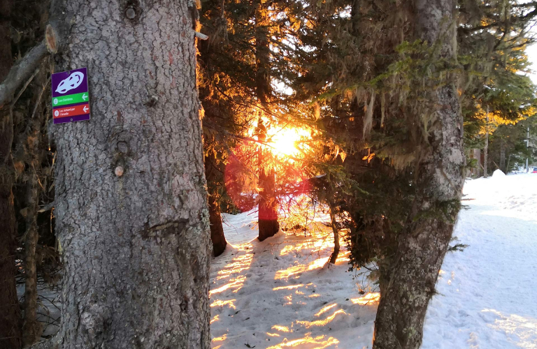 Photo sentier raquette  neige Lac Achard par Clairire Chamrousse