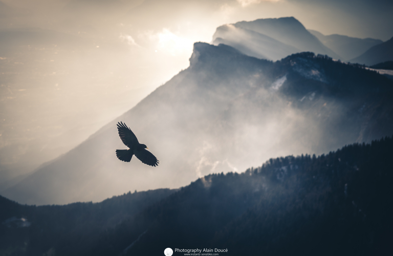 Randonnée et photographie été