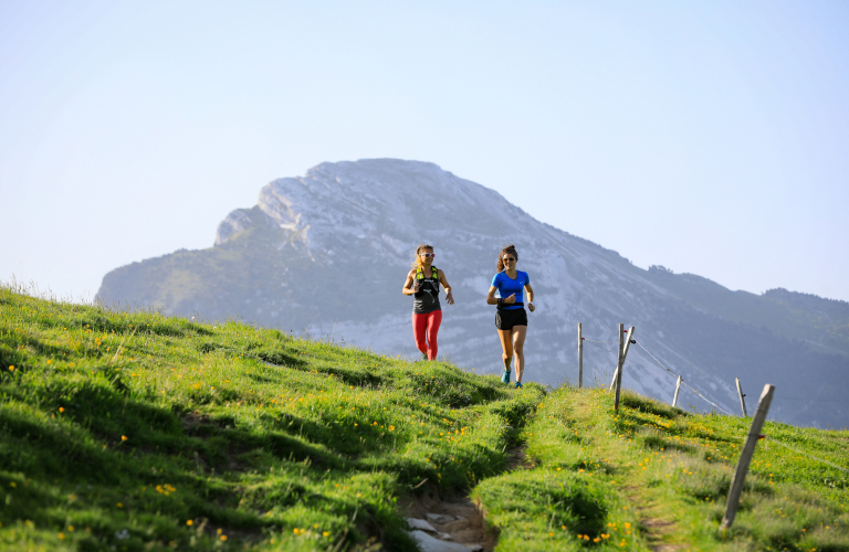 Trail " Col de Porte"