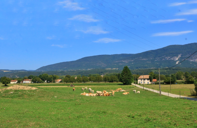 La Tour des Saveurs - producteur - Brangues - Balcons du Dauphin - Nord-Isre-  moins d'une heure de Lyon