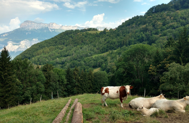 Vue sur la dent de Crolles