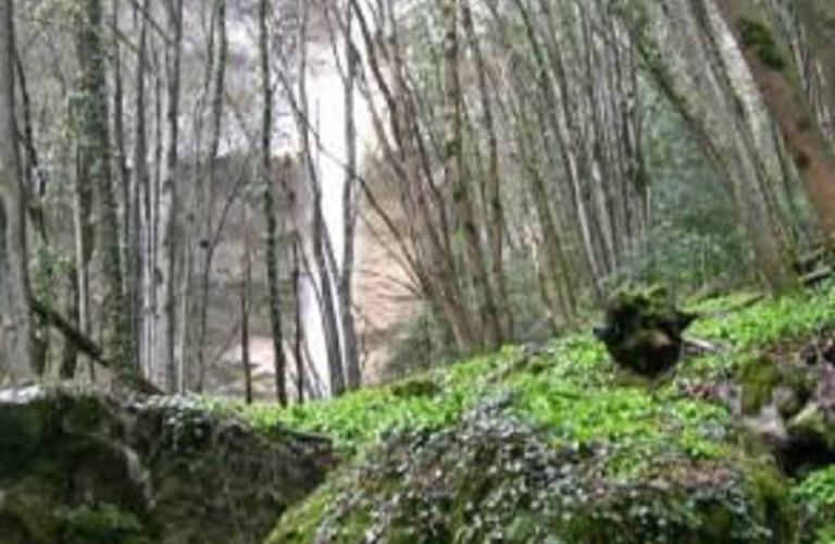 Cascade du Furet