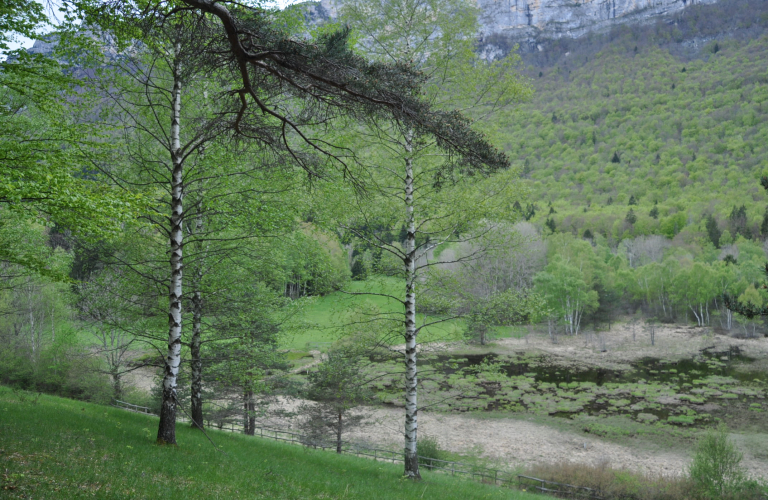 La Tourbière du Peuil