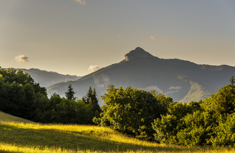 LE RACHAIS DEPUIS LE COL DE VENCE