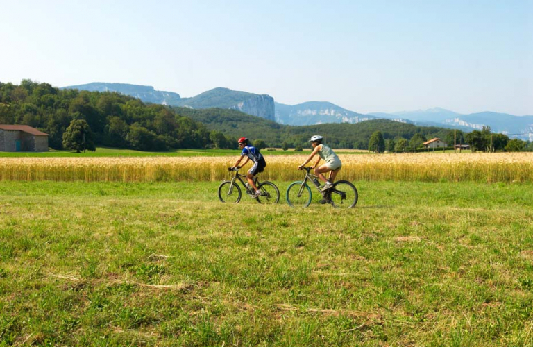 Base VTT Royans-Coulmes | Circuit 04 : Les Bruches