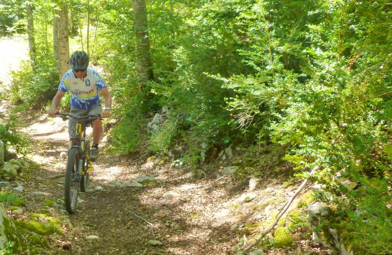 Base VTT Royans-Coulmes | Circuit 15 : Bois de Robeyère