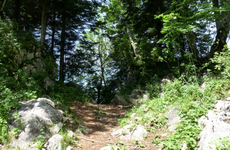 Parcours d&#039;orientation pédestre très difficile