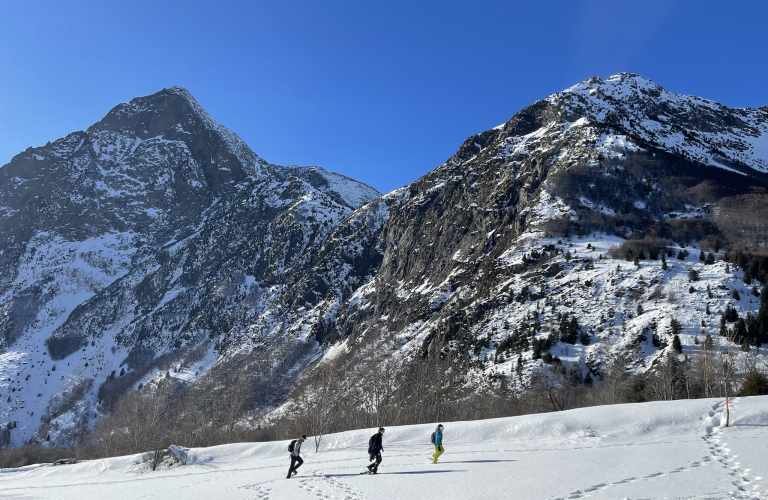 Les bois et la Mure