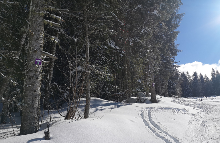 Itinéraire raquettes - Boucle du Col de Porte