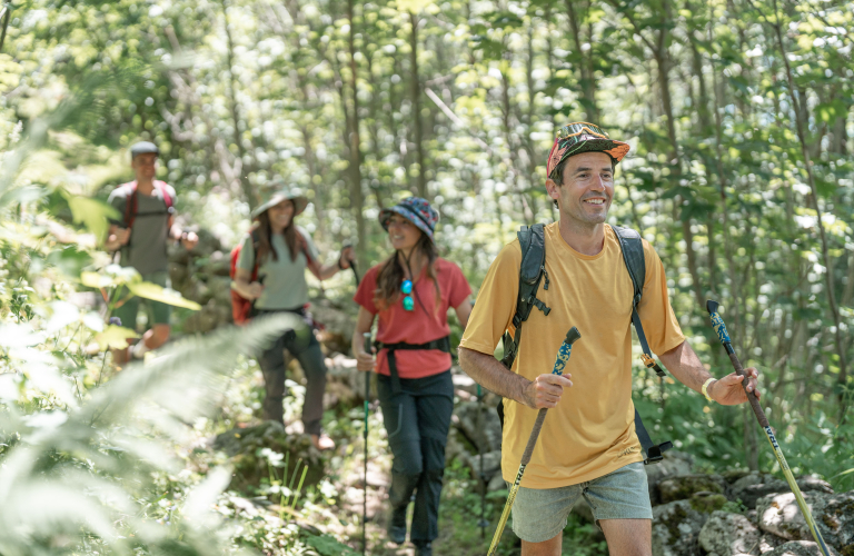 4 personnes marchant dans la foret