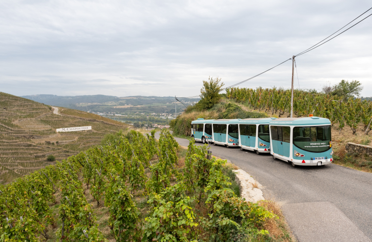 Côte-Rôtie Tour avec possibilité de dégustation (Spécial JEP)