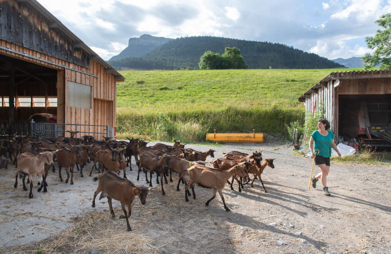 Ferme du Ser Clapi