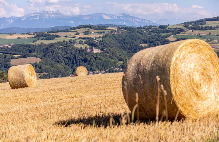 Randonne Chlieu par monts et ruisseaux - vue chteau de Virieu