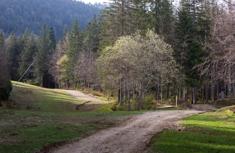 Liaison Cote 2000/Corrençon en Vercors - Rouge