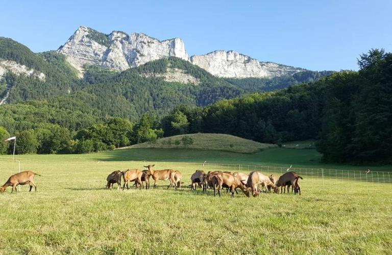 GAEC de Cybèle