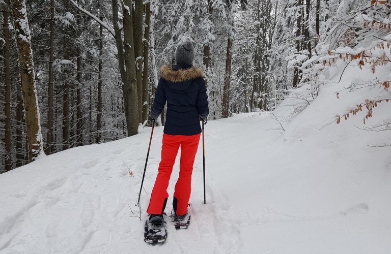 Sentier raquettes : Col du Lac Blanc