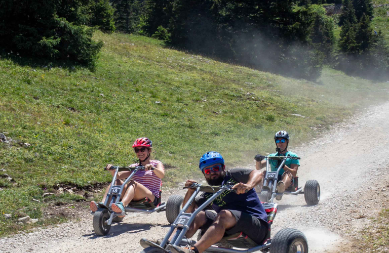 Mountain kart