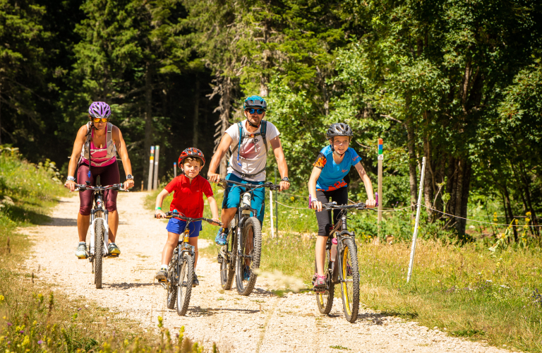 Itinéraire VTT(AE) / X-Country - Croix Servagnet n°75