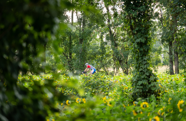 Randonnée à VTT à L&#039;Isle-d&#039;Abeau, La Verpillière, Saint-Quentin-Fallavier et Vaulx-Milieu