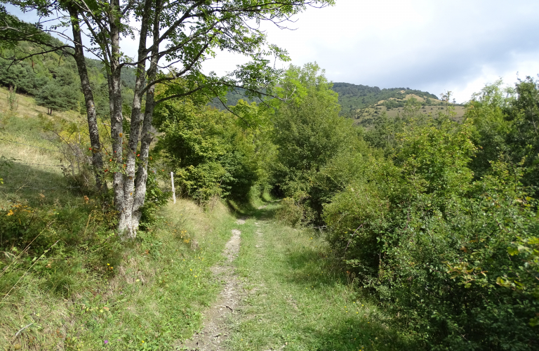 N°15 Tour de Combefolle VTTAE- Bleu