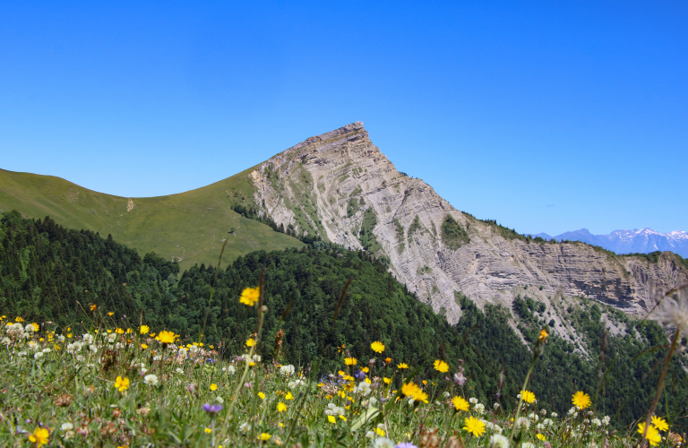 depuis le col de la chante