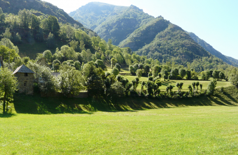 N°25 Le plat de Moulin Vieux VTTAE - Vert