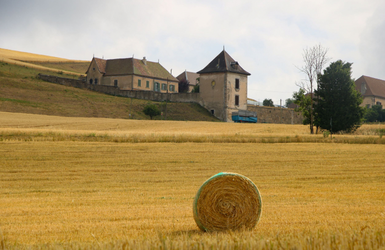 Serre des 9 églises