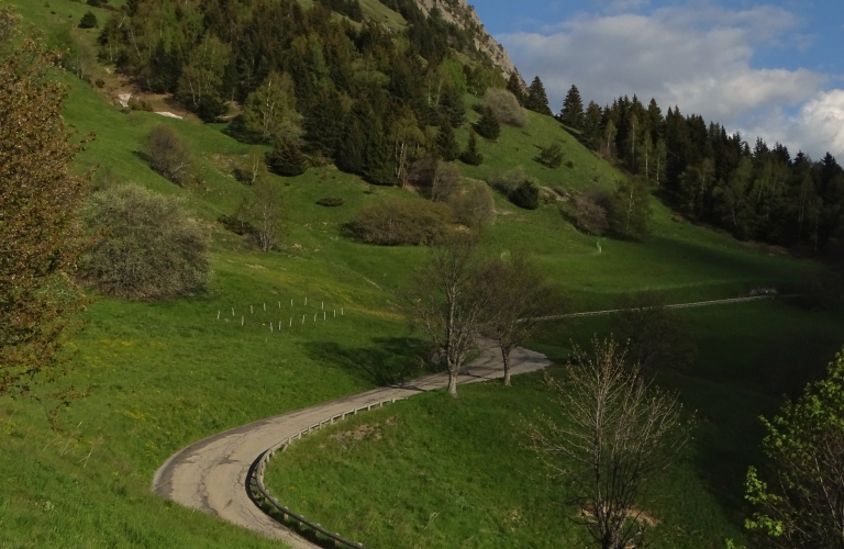 Rando trail - n5 Bleu - La monte de l'Alpe