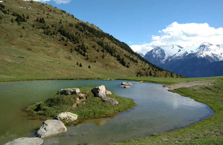 Rando trail - n6 Bleu - La valle de l'Eau d'Olle