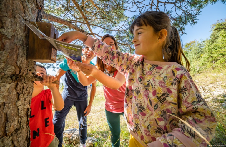 Parcours d&#039;orientation ludique enfant