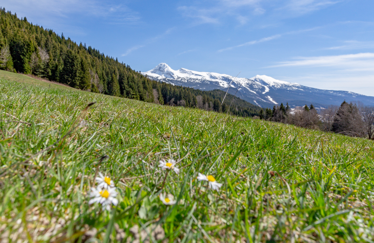 Vue depuis le Col du Liorin