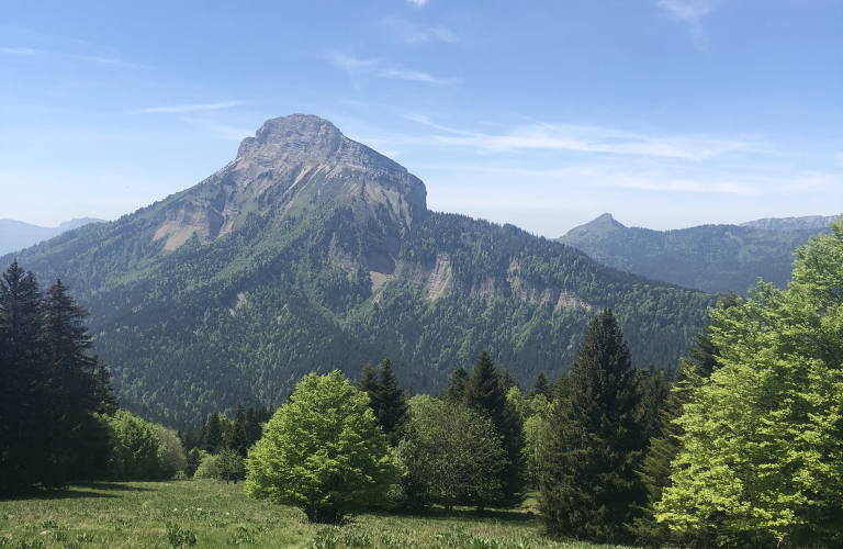 5 - Le Roc d&#039;Arguille en trail