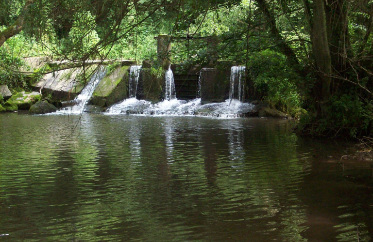 Découverte d&#039;un sentier nature - &quot;Au fil de la Bourbre&quot;