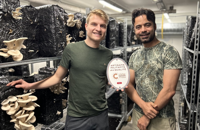 Atelier d&#039;initiation à la production de champignons à Champiloop